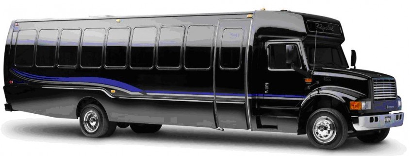 36 Passenger Luxury Party Bus