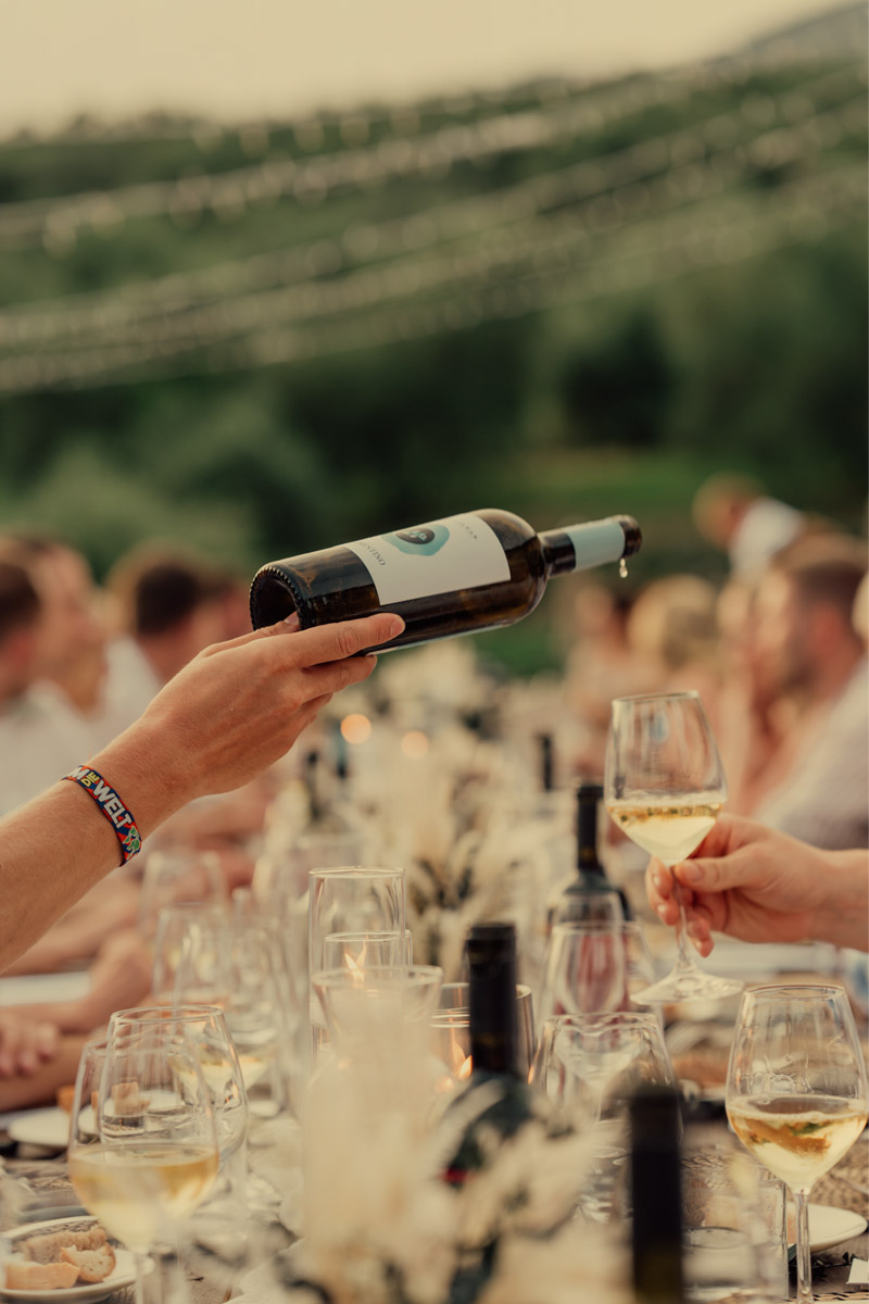 Wine Tasting Tour image